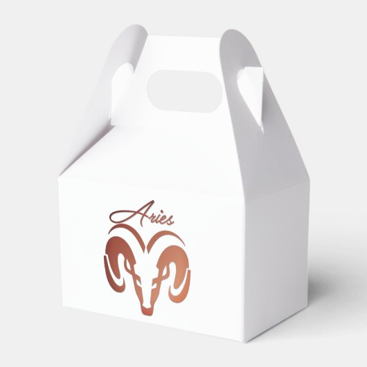 ブロンズアイリーズザラム〔占星術の〕十二宮図 フェイバーボックス (正面サイド)