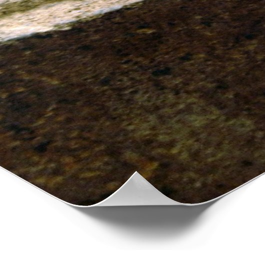 ブロンズ美しい ポスター (角)