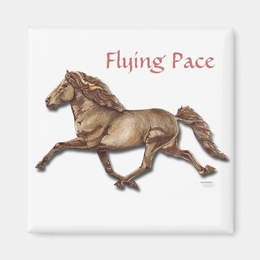 ブロンズ・アイスランド語 マグネット (正面)