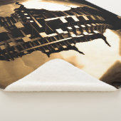 ブロンズ・スチームパンク彫刻 シェルパブランケット (3/4)