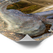 ブロンズ・ドラゴンと妖精小妖精や小人クイーン ポスター (角)