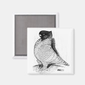 ブロンディーネットピジョンレース1978 マグネット (正面/裏面)