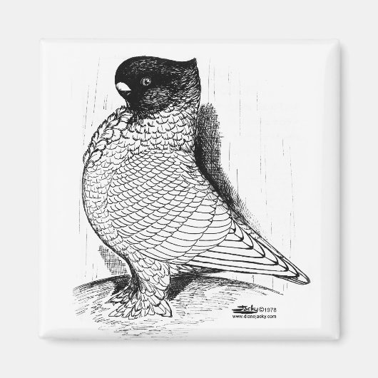 ブロンディーネットピジョンレース1978 マグネット (正面)