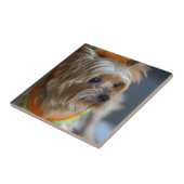 ブロンドのヨークシャテリア タイル (側面)