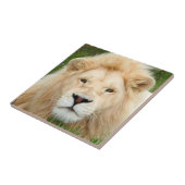 ブロンドの真珠 タイル (側面)