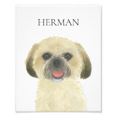 ブロンドタンパーソナライズされたゴールデンシーズー（犬）Tzuアート フォトプリント (正面)