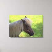 ブロンドマネ付き茶色のミニチュアホース キャンバスプリント (正面)