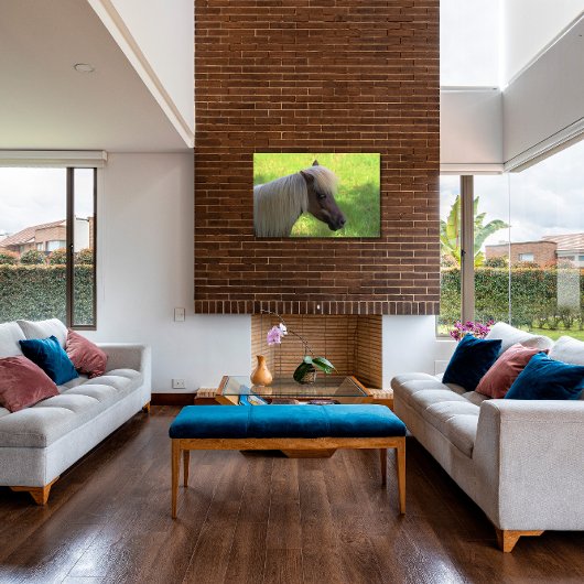 ブロンドマネ付き茶色のミニチュアホース キャンバスプリント