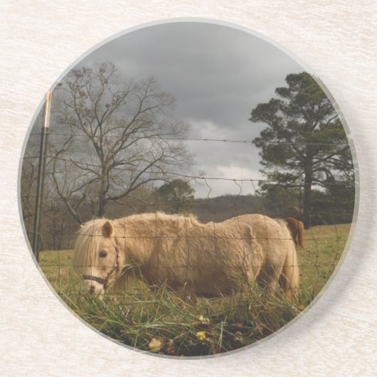 ブロンドミニチュアポニー コースター (正面)