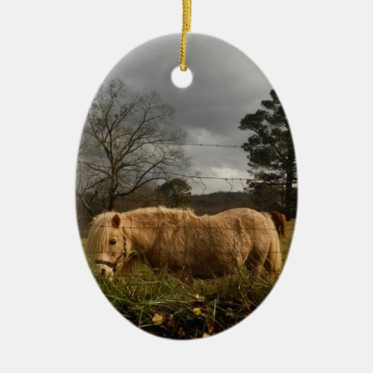 ブロンドミニチュアポニー セラミックオーナメント (正面)