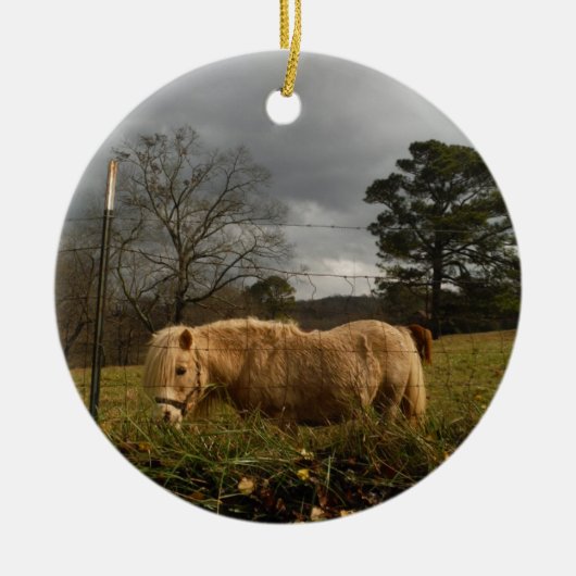 ブロンドミニチュアポニー セラミックオーナメント (正面)