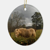 ブロンドミニチュアポニー セラミックオーナメント (左)