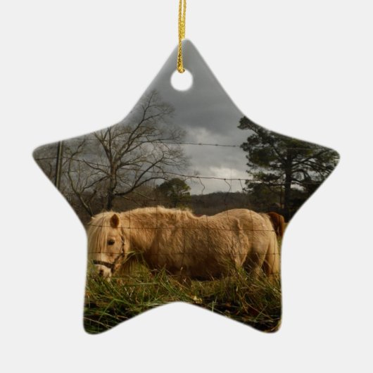 ブロンドミニチュアポニー セラミックオーナメント (正面)