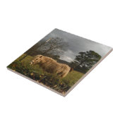 ブロンドミニチュアポニー タイル (側面)