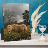 ブロンドミニチュアポニー フォトプラーク (側面)