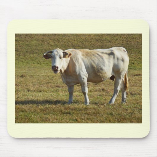ブロンド・アキテーヌ牛 マウスパッド (正面)