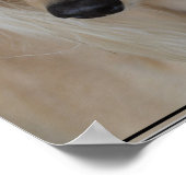 ブロンド・サルキドッグ ポスター (角)