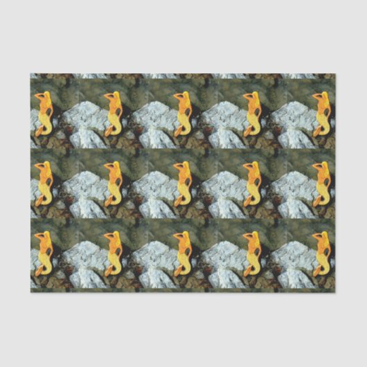 ブロンド・ルックアウトの人魚 薄葉紙 (正面)