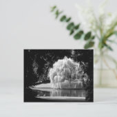 ブローデル予約 ポストカード (スタンド正面)