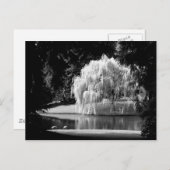 ブローデル予約 ポストカード (正面/裏面)