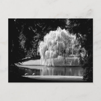 ブローデル予約 ポストカード