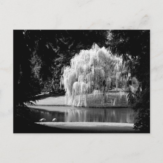 ブローデル予約 ポストカード (正面)