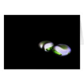 ブロードビーンズ2個gccna (正面横)