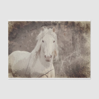 ブロードフットスタリオン18オブ。組織の切り離し紙 薄葉紙