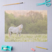 ブロードフットマーレ 薄葉紙 (クラフト)