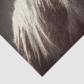 ブロードフット子馬 薄葉紙 (詳細)