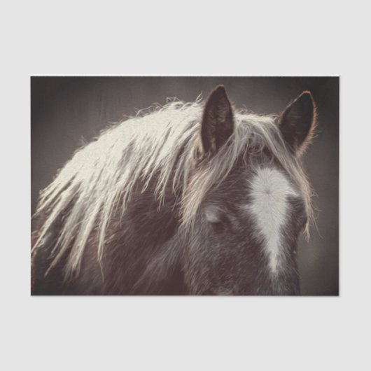 ブロードフット子馬 薄葉紙 (正面)