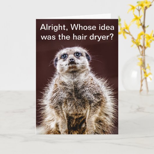 ブロードライのmeerkat カード (黄色い花)