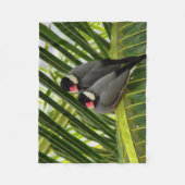 ブンチョウ フリースブランケット (正面)