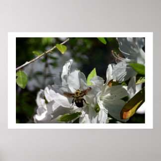 ブンブンいう音蜂 ポスター