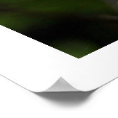 ブンブンいう音蜂 ポスター (角)