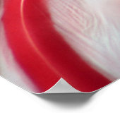 ブーのぞき見る ポスター (角)