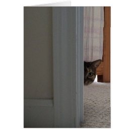 ブーのぞき!キャットカード