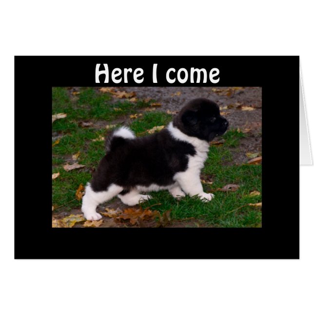 ブーの脚を持っていると聞いた (正面横)