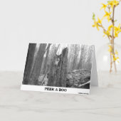 ブーを覗き込む カード (黄色い花)