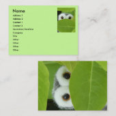 ブーイングのフクロウをかいま見て下さい 名刺 (正面/裏面)