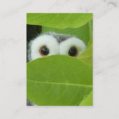 ブーイングのフクロウをかいま見て下さい 名刺 (裏面)