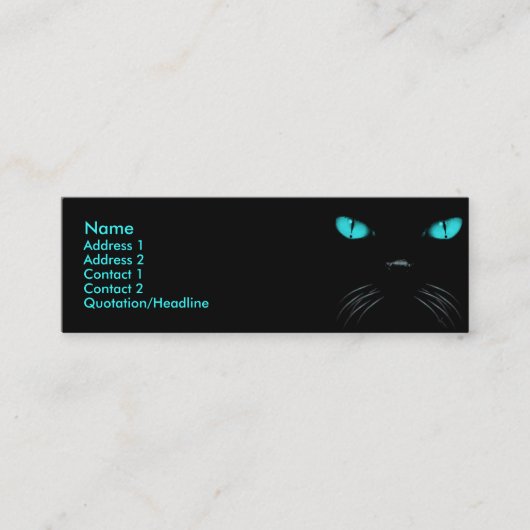 ブーイング-アクアマリンのプロフィールカード スキニー名刺 (正面)