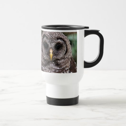 ブーイング- Owlwatchの2014年のOwlet トラベルマグ (右)