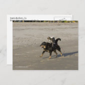 ブーガー、子猫、ムーシーのビーチ ポストカード (正面/裏面)