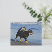 ブーガー・子猫・ムーシー ポストカード (スタンド正面)