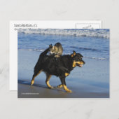 ブーガー・子猫・ムーシー ポストカード (正面/裏面)