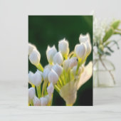 ブーケチーブドゥ サンキューカード (スタンド正面)