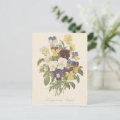 ブーケパンシーパンシーズフラワーイラストレーション ポストカード (スタンド正面)