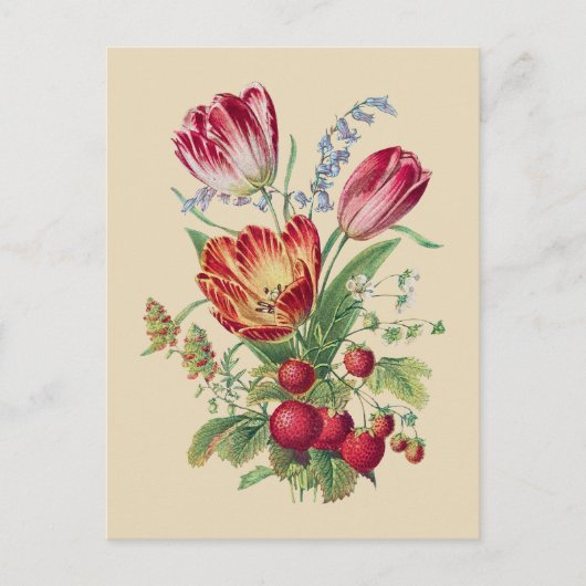 ブーケ – チューリップ ポストカード (正面)