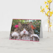 ブーゲンビリアが付いている木切り株の虎猫猫 カード (黄色い花)